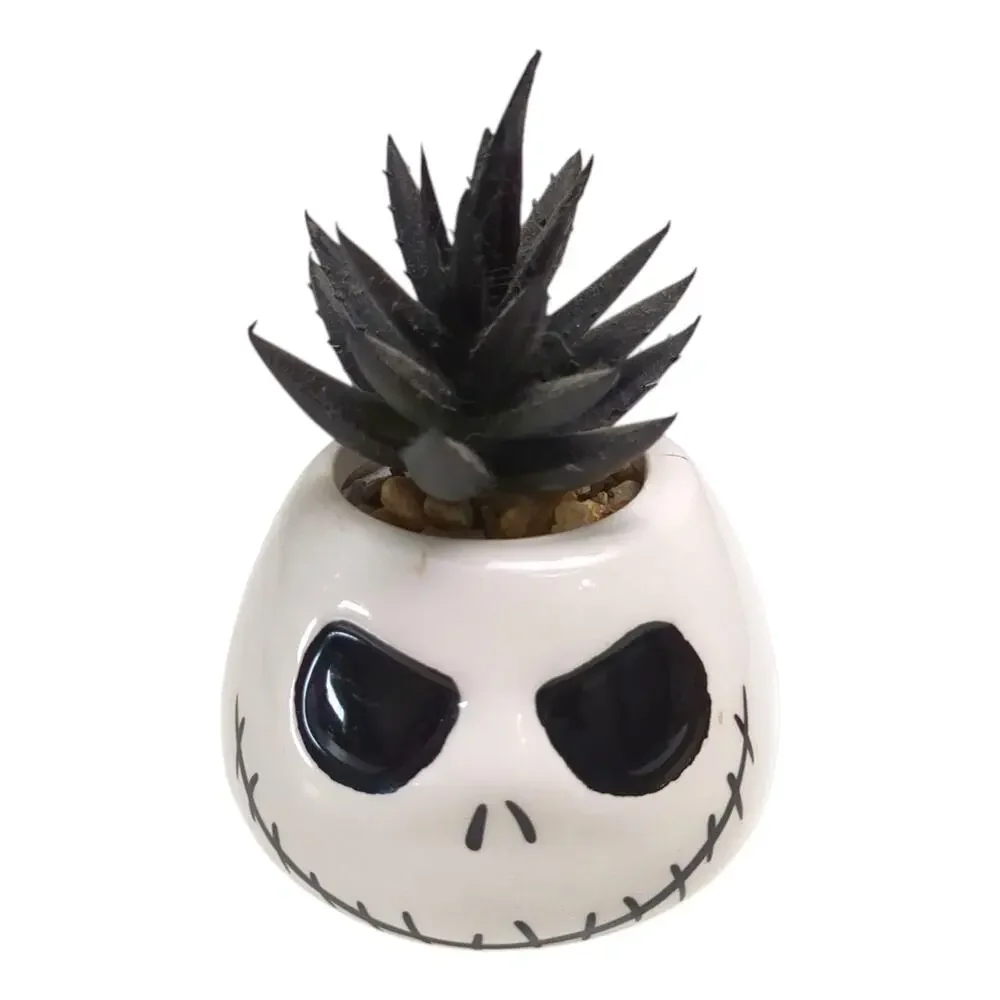 3 Nightmare Before Christmas Succulent Sally Zero Jack Exclusive Set